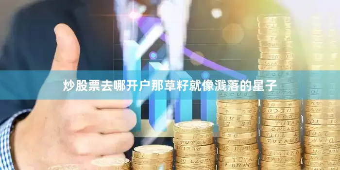 炒股票去哪开户那草籽就像溅落的星子