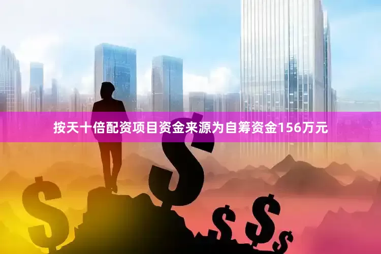 按天十倍配资项目资金来源为自筹资金156万元
