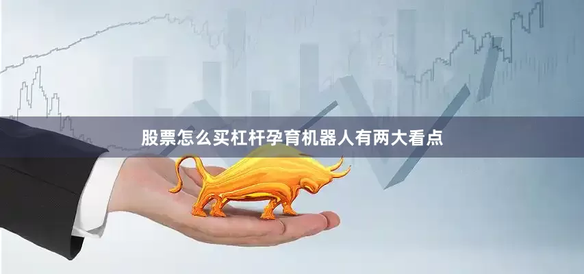 股票怎么买杠杆孕育机器人有两大看点