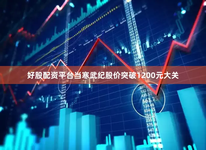 好股配资平台当寒武纪股价突破1200元大关