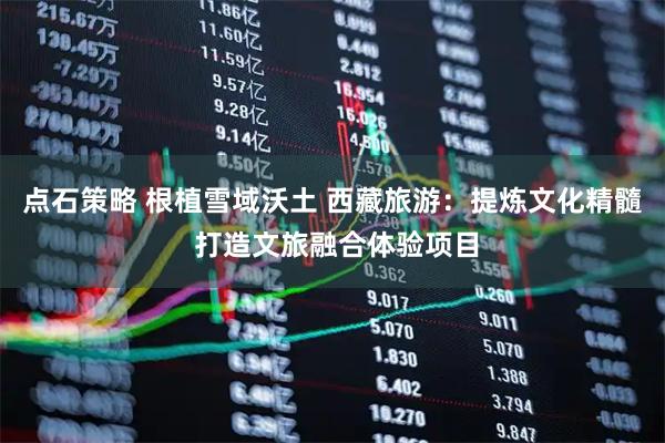 点石策略 根植雪域沃土 西藏旅游：提炼文化精髓 打造文旅融合体验项目