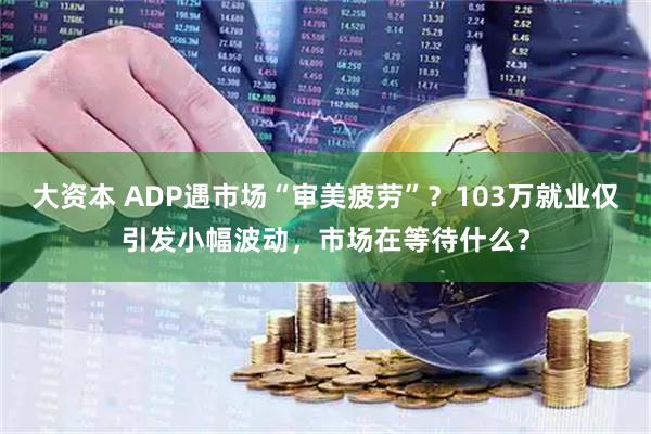 大资本 ADP遇市场“审美疲劳”？103万就业仅引发小幅波动，市场在等待什么？