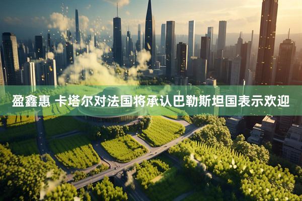 盈鑫惠 卡塔尔对法国将承认巴勒斯坦国表示欢迎