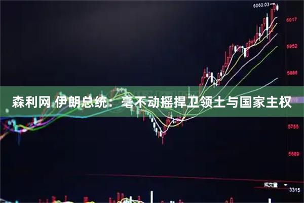 森利网 伊朗总统：毫不动摇捍卫领土与国家主权